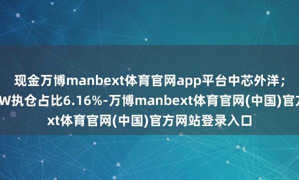 现金万博manbext体育官网app平台中芯外洋；其中小米集团-W执仓占比6.16%-万博manbext体育官网(中国)官方网站登录入口