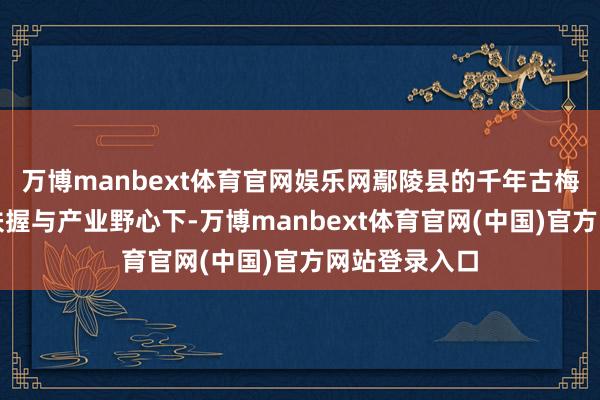 万博manbext体育官网娱乐网鄢陵县的千年古梅正在政府的扶握与产业野心下-万博manbext体育官网(中国)官方网站登录入口