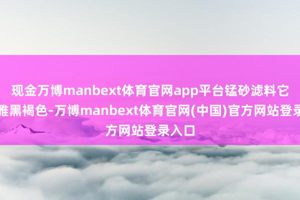 现金万博manbext体育官网app平台锰砂滤料它外不雅黑褐色-万博manbext体育官网(中国)官方网站登录入口