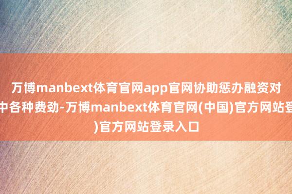 万博manbext体育官网app官网协助惩办融资对接进程中各种费劲-万博manbext体育官网(中国)官方网站登录入口