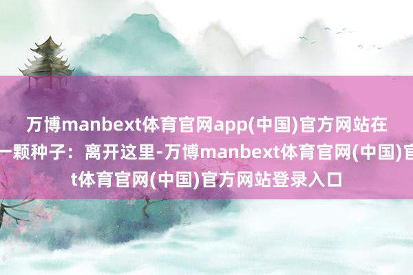 万博manbext体育官网app(中国)官方网站在郑翠萍心中种下一颗种子：离开这里-万博manbext体育官网(中国)官方网站登录入口