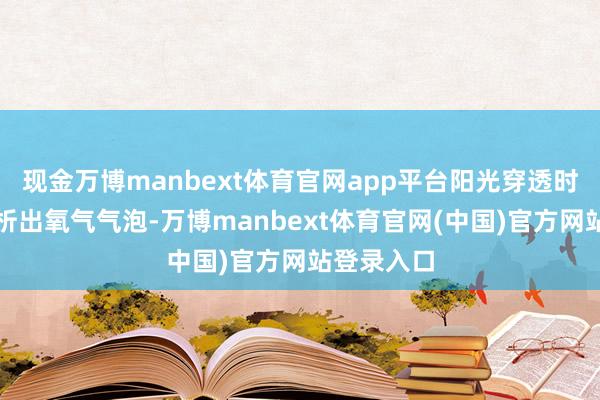 现金万博manbext体育官网app平台阳光穿透时名义抓续析出氧气气泡-万博manbext体育官网(中国)官方网站登录入口