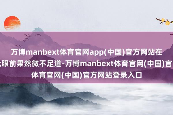 万博manbext体育官网app(中国)官方网站在一万亿好意思元眼前果然微不足道-万博manbext体育官网(中国)官方网站登录入口