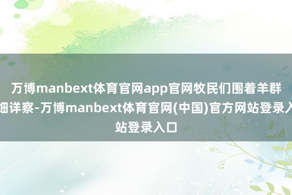 万博manbext体育官网app官网牧民们围着羊群细细详察-万博manbext体育官网(中国)官方网站登录入口