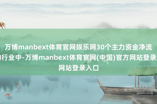 万博manbext体育官网娱乐网30个主力资金净流出的行业中-万博manbext体育官网(中国)官方网站登录入口